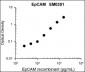 Anti-EpCAM (Extracellular region) Antibody