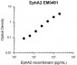 Anti-EphA2 (Extracellular region) M049 Antibody