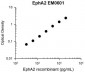 Anti-EphA2 (Extracellular region) M060 Antibody