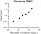 Anti-Fibronectin (Cell/Heparin2 Binding region) Antibody