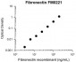 Anti-Fibronectin Antibody