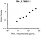 Anti-PD-L1 (Extracellular region) M051 Antibody