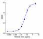 Anti-Spike RBD Reference Antibody (Sotrovimab)