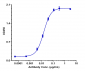 Anti-Spike RBD Reference Antibody (Regdanvimab)