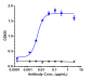 Anti-ACVR2B Reference Antibody (bimagrumab)