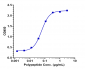 Anti-Amyloid Beta Reference Antibody (gantenerumab)