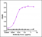Anti-Amyloid Beta Reference Antibody (lecanemab)