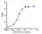 Anti-B7-H2 / ICOSL / CD275 Reference Antibody (prezalumab)