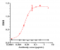 Anti-CD20 Reference Antibody (obinutuzumab)