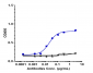 Anti-CALCRL / CGRPR Reference Antibody (erenumab)