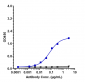 Anti-CLDN6 Reference Antibody (AB3-7)