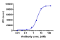 Anti-CLDN6 Reference Antibody (DS-9606a)