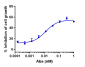 Anti-CLDN6 Reference Antibody (DS-9606a)