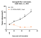 Anti-CLDN6 Reference Antibody (DS-9606a)