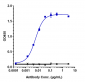 Anti-CCN2 / CTGF Reference Antibody (pamrevlumab)