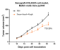 Anti-CCN2 / CTGF Reference Antibody (pamrevlumab)