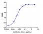 Anti-CTLA-4 / CD152  Reference Antibody (tremelimumab)