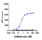 Anti-ADAM9 Reference Antibody (Imgc936)