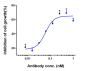 Anti-ADAM9 Reference Antibody (Imgc936)