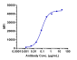 Anti-CDH6 / K-Cadherin Reference Antibody (HKT288)