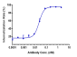 Anti-CDH6 / K-Cadherin Reference Antibody (HKT288)