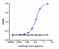 Anti-TNFRSF10B / TRAILR2 / CD262 Reference Antibody (conatumumab)