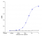 Anti-TNFRSF5 / CD40 Reference Antibody (bleselumab)