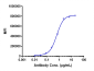 Anti-TNFRSF5 / CD40 Reference Antibody (bleselumab)