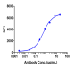 Anti-LAG3 / CD223 Reference Antibody (relatlimab)