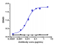 Anti-IL-23 Reference Antibody (guselkumab)