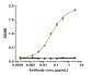 Anti-IL-23a Reference Antibody (risankizumab)