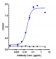 Anti-GDF15 / MIC1 Reference Antibody (ponsegromab)