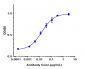 Anti-ERBB1 / EGFR / HER1 Reference Antibody (laprituximAb)