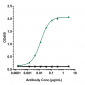 Anti-CD20 Reference Antibody (rituximab)