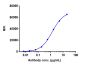 Anti-CD20 Reference Antibody (rituximab)