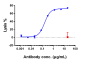 Anti-CD20 Reference Antibody (rituximab)