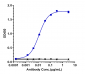 Anti-DLL4 Reference Antibody (navicixizumab)