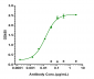 Anti-ERBB2 / HER2 / CD340 Reference Antibody (pertuzumab)