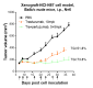 Anti-ERBB2 / HER2 / CD340 Reference Antibody (pertuzumab)