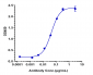 Anti-ERBB3 / HER3 Reference Antibody (patritumab)