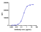 Anti-ERBB3 / HER3 Reference Antibody (patritumab)