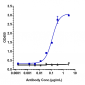 Anti-IL-5 Reference Antibody (mepolizumab)