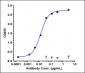 Anti-IL-7Ra / CD127 Reference Antibody (lusvertikimab)