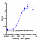 Anti-IL-33 Reference Antibody (etokimab)