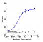 Anti-IL-33 Reference Antibody (tozorakimab)