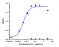 Anti-FAP Reference Antibody (sibrotuzumab)