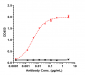 Anti-Nectin-4 Reference Antibody (enfortumab vedotin-ejfv)