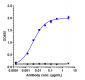 Anti-Nectin-4 Reference Antibody (enfortumab)