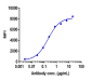 Anti-TIGIT Reference Antibody (tiragolumab)