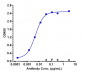 Anti-ALP Reference Antibody (Seagen Patent Anti-Alpp)